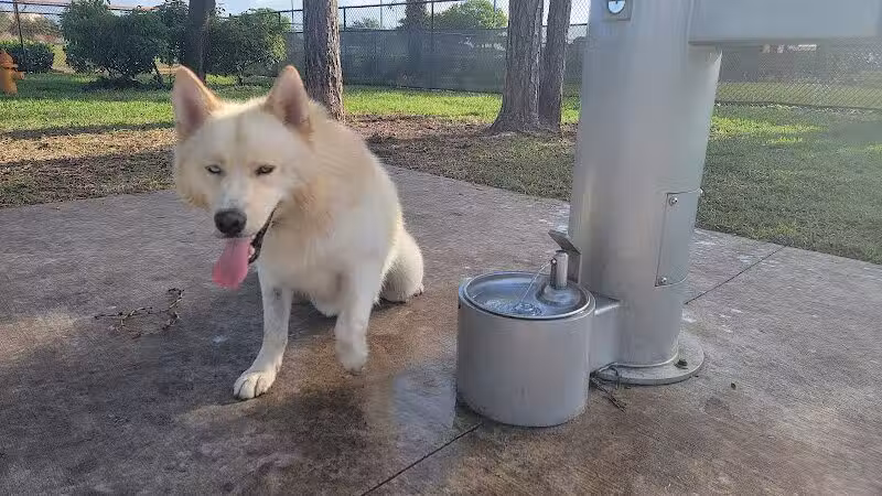 McChesney Dog Park - Port St. Lucie, FL