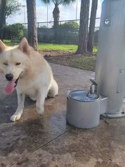 McChesney Dog Park - Port St. Lucie, FL