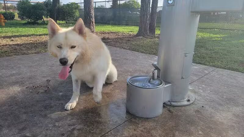 McChesney Dog Park - Port St. Lucie, FL