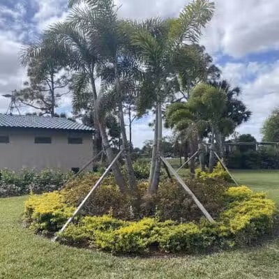 McChesney Dog Park - Port St. Lucie, FL