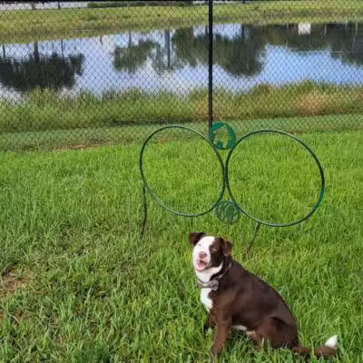 McChesney Park - Port St. Lucie, FL
