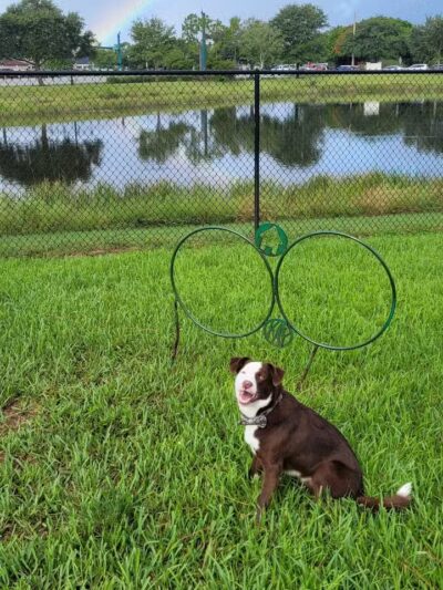 McChesney Park - Port St. Lucie, FL