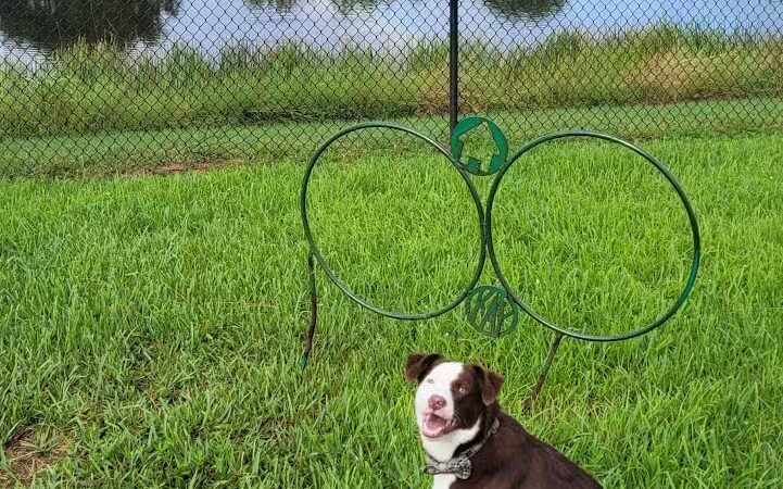 McChesney Park - Port St. Lucie, FL