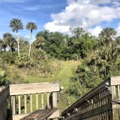 Paleo Hammock Preserve - Port St. Lucie, FL