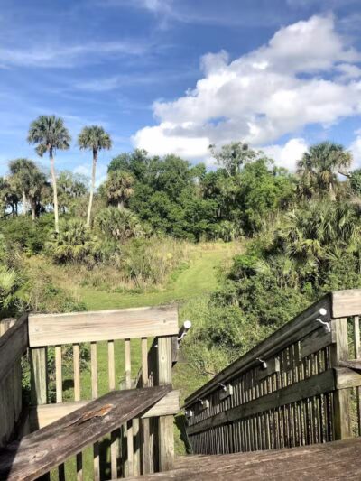 Paleo Hammock Preserve - Port St. Lucie, FL