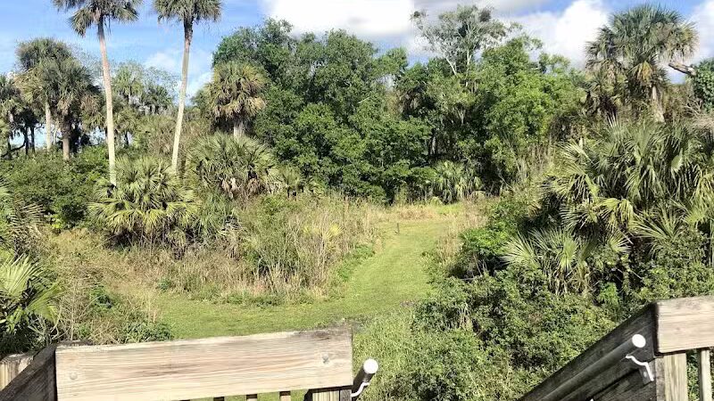 Paleo Hammock Preserve - Port St. Lucie, FL