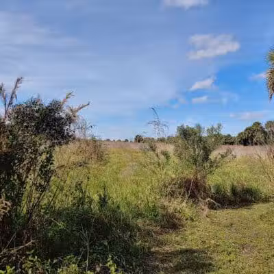 Paleo Hammock Preserve - Port St. Lucie, FL