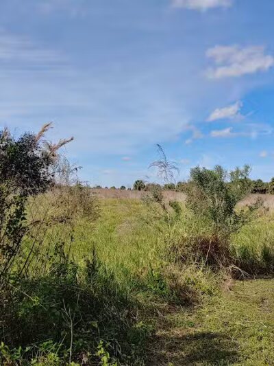 Paleo Hammock Preserve - Port St. Lucie, FL