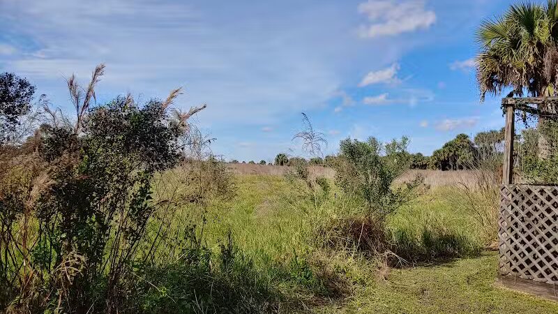 Paleo Hammock Preserve - Port St. Lucie, FL