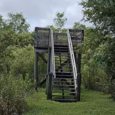 Paleo Hammock Preserve - Port St. Lucie, FL