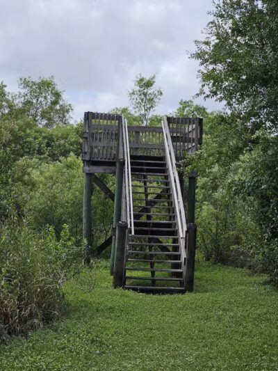 Paleo Hammock Preserve - Port St. Lucie, FL