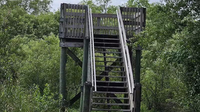 Paleo Hammock Preserve - Port St. Lucie, FL
