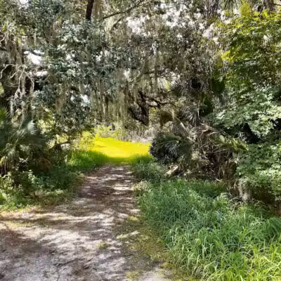 Paleo Hammock Preserve - Port St. Lucie, FL