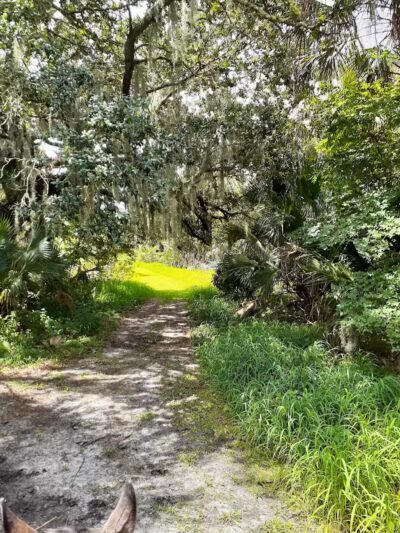 Paleo Hammock Preserve - Port St. Lucie, FL