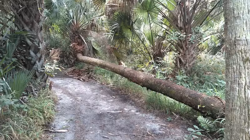 Paleo Hammock Preserve - Port St. Lucie, FL