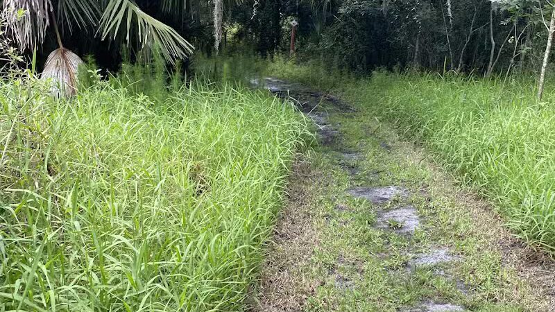 Paleo Hammock Preserve - Port St. Lucie, FL