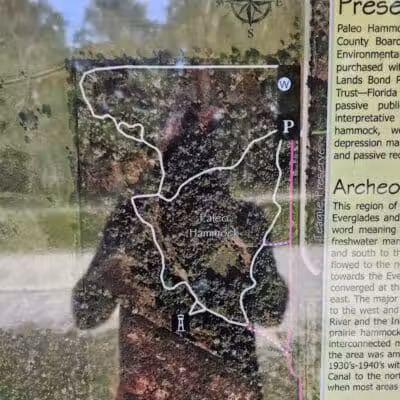 Paleo Hammock Preserve - Port St. Lucie, FL