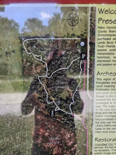 Paleo Hammock Preserve - Port St. Lucie, FL