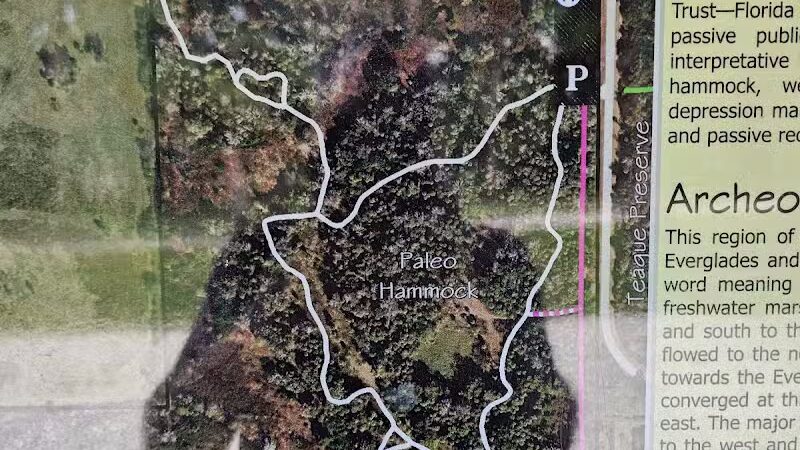 Paleo Hammock Preserve - Port St. Lucie, FL