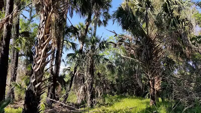 Paleo Hammock Preserve - Port St. Lucie, FL
