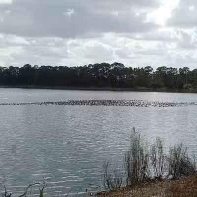 Peacock park - Port St. Lucie, FL