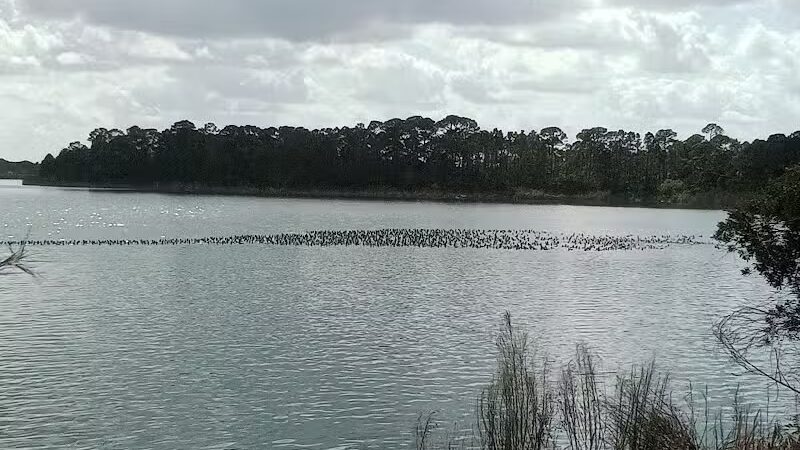 Peacock park - Port St. Lucie, FL