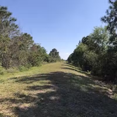 Peacock park - Port St. Lucie, FL