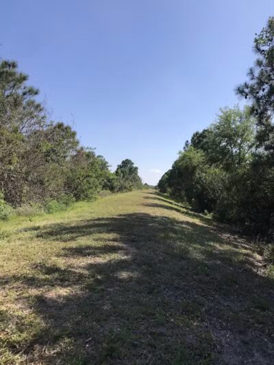 Peacock park - Port St. Lucie, FL