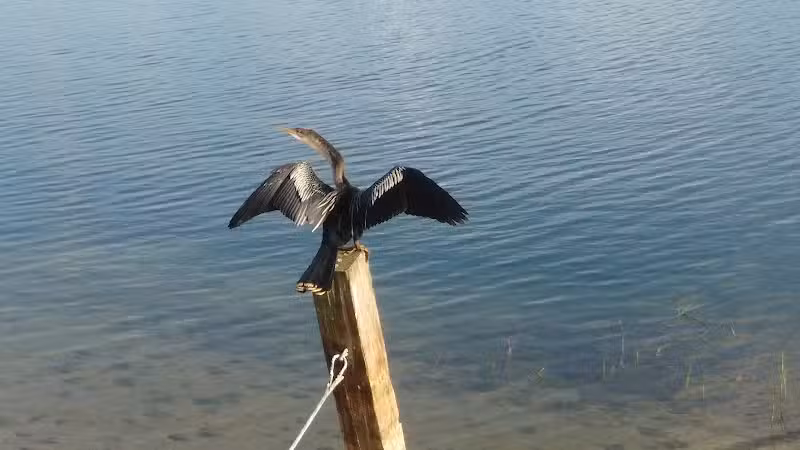 Peacock park - Port St. Lucie, FL