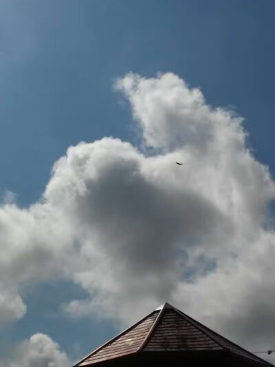 Sportsman's Park - Port St. Lucie, FL