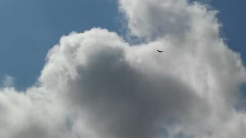 Sportsman's Park - Port St. Lucie, FL