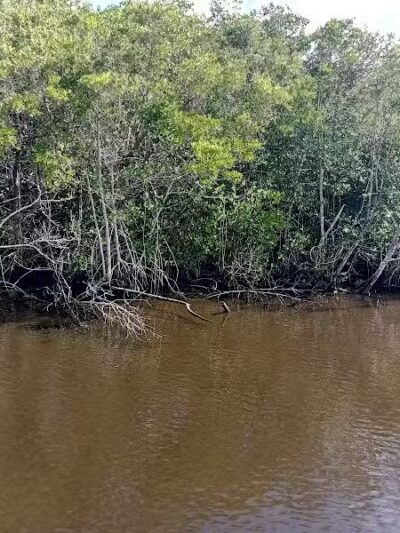 The boardwalk at the port - Port St. Lucie, FL