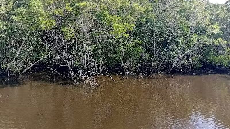 The boardwalk at the port - Port St. Lucie, FL