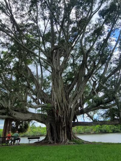 The boardwalk at the port - Port St. Lucie, FL