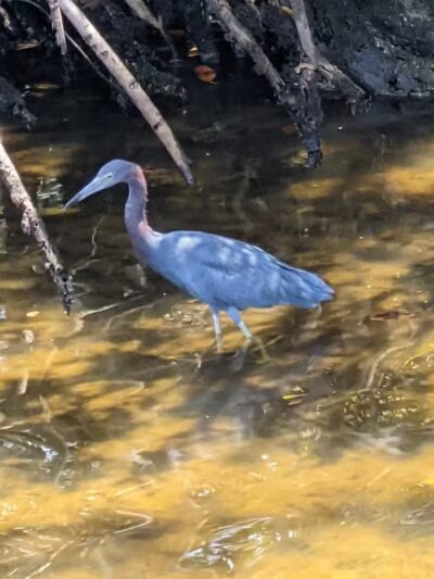The boardwalk at the port - Port St. Lucie, FL