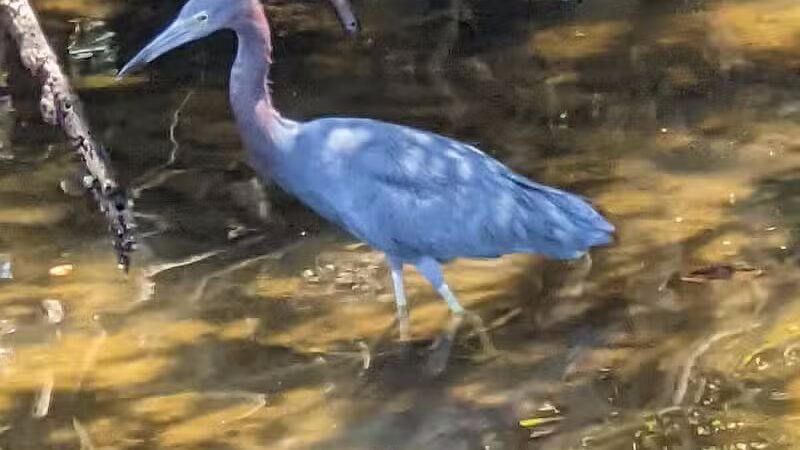The boardwalk at the port - Port St. Lucie, FL