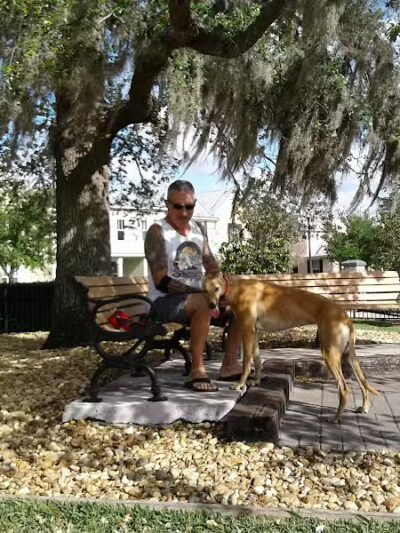Tradition Dog Park (private) - Port St. Lucie, FL