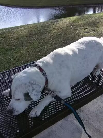 Whitmore Park - Port St. Lucie, FL