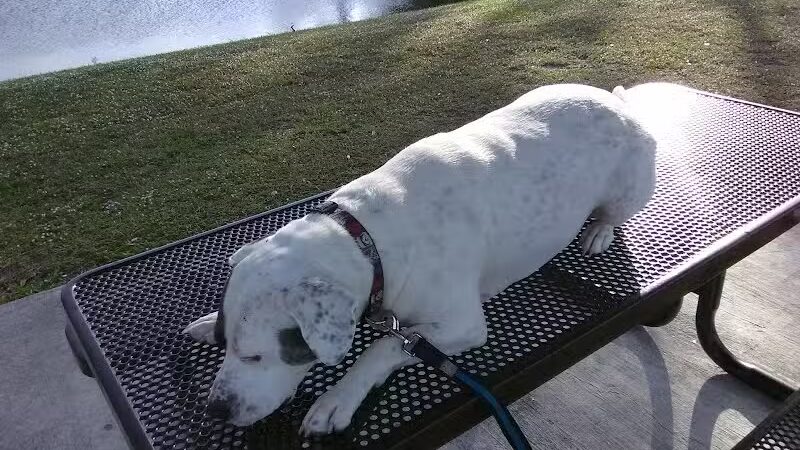 Whitmore Park - Port St. Lucie, FL