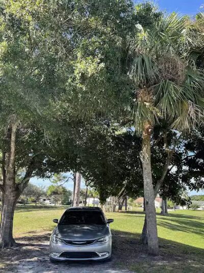 Whitmore Park - Port St. Lucie, FL