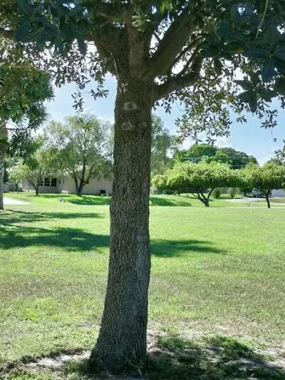 Whitmore Park - Port St. Lucie, FL