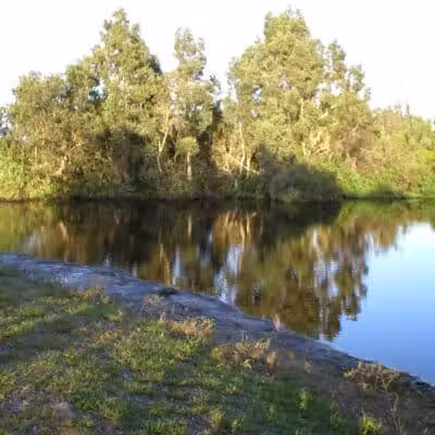 Wilderness Park - Port St. Lucie, FL