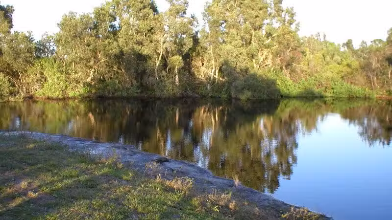 Wilderness Park - Port St. Lucie, FL