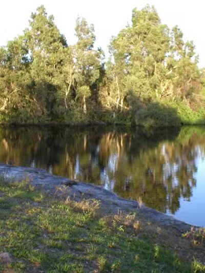 Wilderness Park - Port St. Lucie, FL