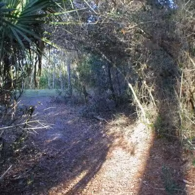 Wilderness Park - Port St. Lucie, FL