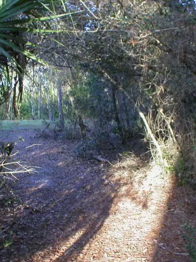 Wilderness Park - Port St. Lucie, FL