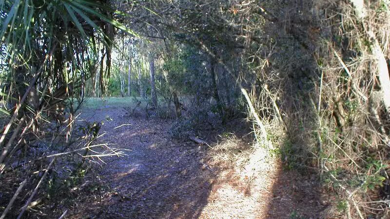 Wilderness Park - Port St. Lucie, FL