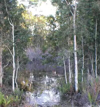 Wilderness Park - Port St. Lucie, FL