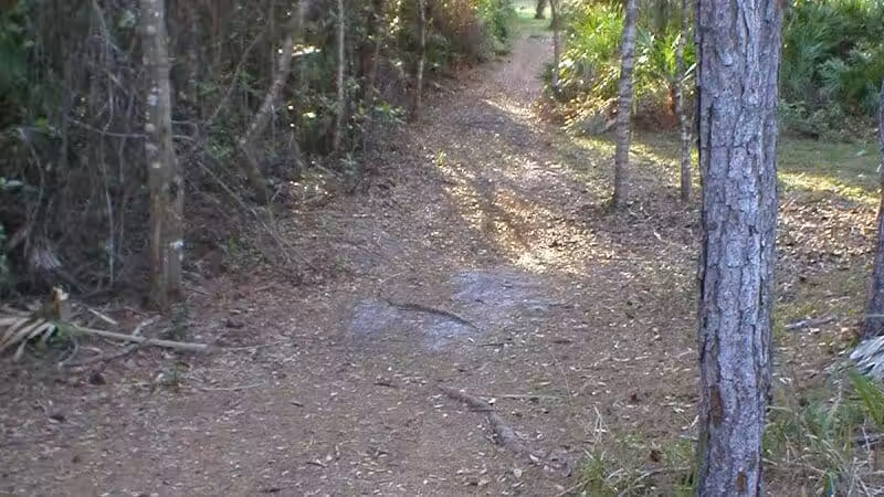 Wilderness Park - Port St. Lucie, FL