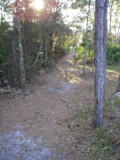 Wilderness Park - Port St. Lucie, FL